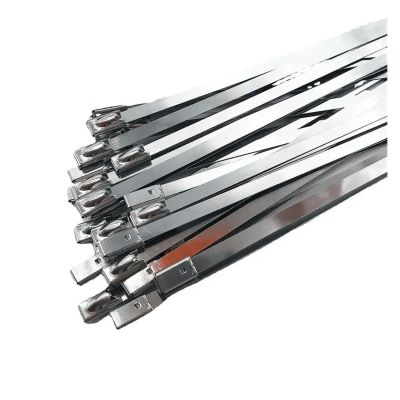 20/40 Pcs Stainless Steel Cable Ties Reusable Self-Sealing Fastening Multi-Purpose Metal Hardware Cable Accessory (Color : 40Pcs, Size : 4.6X300mm)
