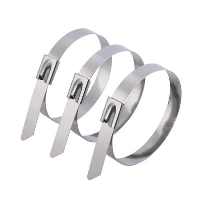 20Pcs Stainless Steel Cable Ties Reusable Self-Sealing Fastening Multi-Purpose Self-Locking Metal Hardware Cable (Color : 20Pcs, Size : 4.6 x 150mm)