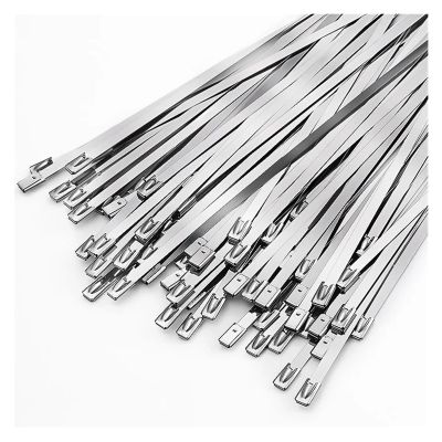 100/50Pcs Stainless Steel Cable Ties Reusable Self-Sealing Fastening Multi-Purpose Metal Hardware Cable Organizer (Color : 100PCS, Size : 4.6X200MM)