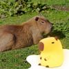 YuanDian Capybara Night Light - Adorable Silicone Lamp for Kids, Babies, Adults | Cute Capybara Gift, Nursery Bedroom Decor view 3