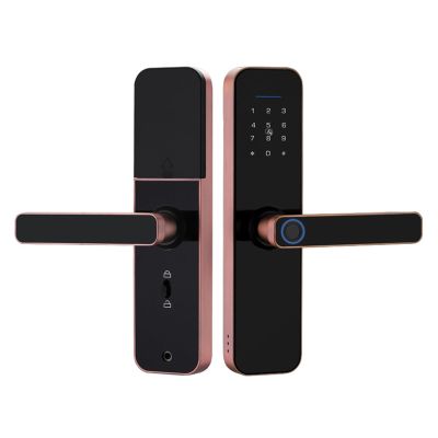 Tuya Wifi Remote Door Opener Electronic Smart Biometric Fingerprint Door Lock 5 Ways To Unlock With USB Emergency Charge 2 Color Wooden Door, Stainless Steel Door, Bronze Door, Double Door, Old Flash