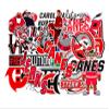 25 PCS Carolina American Hurricanes Hockey Stickers for Water Bottle, Laptop, Bicycle, Computer, Motorcycle, Travel Case, Car Decal Decoration Stickers view 1