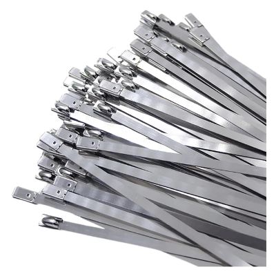 10/200Pcs Stainless Steel Cable Ties Reusable Self-Sealing Fastening Metal Hardware Cable Organizer (Color : 30 pcs, Size : 4.6x800mm)