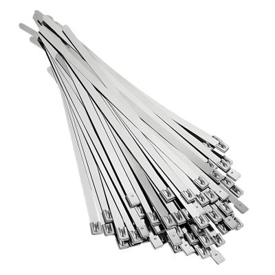 20/40Pcs Stainless Steel Cable Ties Reusable Metal Hardware Cable Organizer Self-Sealing Fastening (Color : Silver, Size : 20Pcs 4.6X300MM)