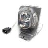 CTLAMP A+ Quality BL-FP210A / SP.70201GC01 Replacement Projector Lamp Bulb with Housing Compatible with OPTOMA DH1012 EH210 HD28DSE EH341 HD26LV HDF572 HT210V W316ST W350 W351 X316ST X342e X35 X351 view 2