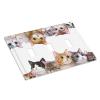 Tewujay Decorative Light Switch Covers 3 Toggle Lovely Kitten Cats Triple Toggle Wall Plate Decorative Switchplate Electrical Faceplate view 3