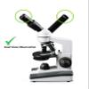 Vision Scientific VME0019-T-LD-DG1.3 Dual View Elementary Compound Microscope, 10x WF & 25x WF Eyepiece, 40x1000x Magnification, LED Illumination, Gliding Round Stage, 1.3MP Digital Eyepiece Camera view 4
