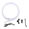Tyenaza LED Ring Light, 13 Inch Selfie Ring Light with Phone Holder & USB Plug for Streaming Makeup Selfie Photography view 1