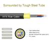 Multimode Fiber ST to ST OM3 Fiber Patch Cable 75M/245FT,TPU Outdoor Fiber Optic Cable Simplex 8Core 50/125um Armored Fiber Patch Cable UPC,OD-5mm Fiber Optic Internet Cable view 2