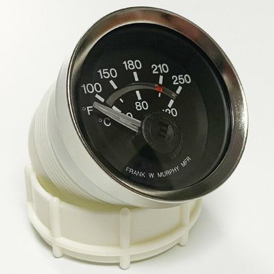 EGS21T-250-12-B Electric Temperature Swichgage (10701296)