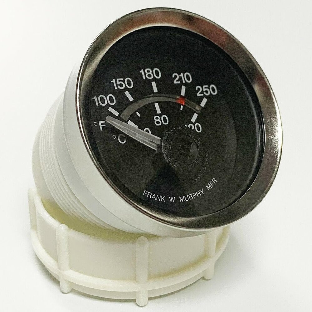 EGS21T-250-12-B Electric Temperature Swichgage (10701296)