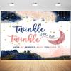 12x8ft Twinkle Twinkle Little Star Backdrop Navy Blue Pink Moon Stars Gender Reveal Photography Background Gender Reveal Party Banner Decorations Supplies Photo Booth Props view 1