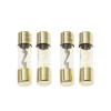 10 Pieces 10 * 38 Gold-Plated Glass AGU Fuse Package car Audio Amplifier Amplifier 10A 15A 20A 25A 30A 40A 50A 60A 70A 80A 100A (Size : 30A) view 1