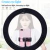 Arc Surface 10-in Marquee RGBW Dual Colour Temperature Dimmable Ring Fill Light Live Photography Camera Light,Ring Fill Light b (Ring Fill Light a) view 2