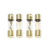 5-Pack 10 * 38 Gold-Plated Glass AGU Fuse Fuse Package car Audio Amplifier Amplifier 10A 15A 20A 25A 30A 40A 50A 60A 70A 80A 100A (Size : 20A) view 1