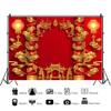 AOFOTO 10x8ft Chinese New Year Photography Backdrop Spring Festival Year of Dragon Lunar New Year Background Auspicious Clouds Lantern China Ancient Palace Pillars Dragon New Year's Wall Decorations view 2