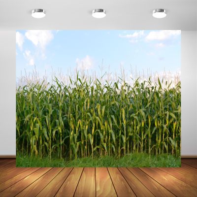 BELECO 15x8ft Fabric Cornfield Maze Backdrop Green Corn Stalks Corn Field Countryside Farm Harvest Background Corn Field Themed Party Decorations Adults Kids Portrait Photoshoot Studio Props