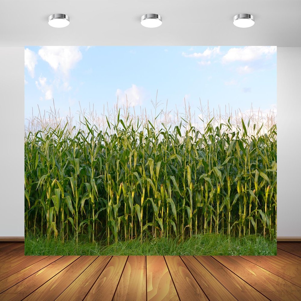BELECO 15x8ft Fabric Cornfield Maze Backdrop Green Corn Stalks Corn Field Countryside Farm Harvest Background Corn Field Themed Party Decorations Adults Kids Portrait Photoshoot Studio Props