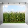 BELECO 15x8ft Fabric Cornfield Maze Backdrop Green Corn Stalks Corn Field Countryside Farm Harvest Background Corn Field Themed Party Decorations Adults Kids Portrait Photoshoot Studio Props view 4
