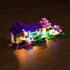 BrickBling Light Kit Compatible with Lego Mine-Craft The Animal Sanctuary 21253, Creative Lighting Compatible with Lego Animal Sanctuary, Great Gift for Kids Aged 10+(Lights Only, No Bricks) view 2