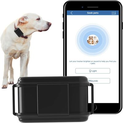 Winnes GPS Tracker for Dog with No Subscription for Application Collar GPS 4G TK919PRO Anti-Lost GPS Locator Waterproof Dog Tracker (Collar Included,SIM Card Required)