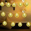 Bokoiuu 8.5FT 3D Lemon Outdoor String Lights, 10 LED Bulbs, Plug in view 3