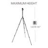 3 Legged Thing Patti 2.0 Flip Lock Tripod with AirHed Mini - Darkness Matte Black (PATTIDARK2.0) view 3