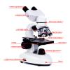 Binocular Led Compound Microscope,with Dual Light Sources,HD Display,for Children, Students and Adults,Biological Compound Microscope,2000X Magnification,for Schools and Laboratories view 3
