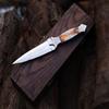 Blade Frenzy Hand Engraved Knife Premium D2 Steel Dagger knife,Custom Handmade Hunting Pocket Knife, Silver view 1