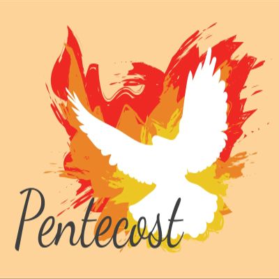 Loccor 17x10ft Fabric Pentecost Sunday Backdrop for Photography Holy Spirit White Dove and Flame Orange Photo Background Church Christian Baptism Banner Kids Baptism Portrait Photo Studio Props
