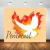 Loccor 17x10ft Fabric Pentecost Sunday Backdrop for Photography Holy Spirit White Dove and Flame Orange Photo Background Church Christian Baptism Banner Kids Baptism Portrait Photo Studio Props view 2