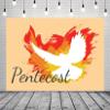 Loccor 17x10ft Fabric Pentecost Sunday Backdrop for Photography Holy Spirit White Dove and Flame Orange Photo Background Church Christian Baptism Banner Kids Baptism Portrait Photo Studio Props view 3