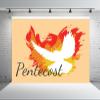 Loccor 17x10ft Fabric Pentecost Sunday Backdrop for Photography Holy Spirit White Dove and Flame Orange Photo Background Church Christian Baptism Banner Kids Baptism Portrait Photo Studio Props view 4