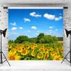 12x8ft Sunflower Backdrop Sunflowers Field Blue Sky Nature Scene Photography Background Sunflower Theme Birthday Party Kids Adults Portrait Decoration Supplies Photo Booth Props view 3