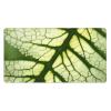 YYHWHJDE Tree Leaf Texture Vein Pattern Large Office Gaming Mouse pad 16 x 29.5 in : Strong Adhesion and Durability Precision Edge Locking view 1