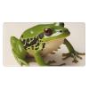 YYHWHJDE Cute Frogs Pattern Large Office Gaming Mouse pad 16 x 29.5 in : Strong Adhesion and Durability Precision Edge Locking view 1