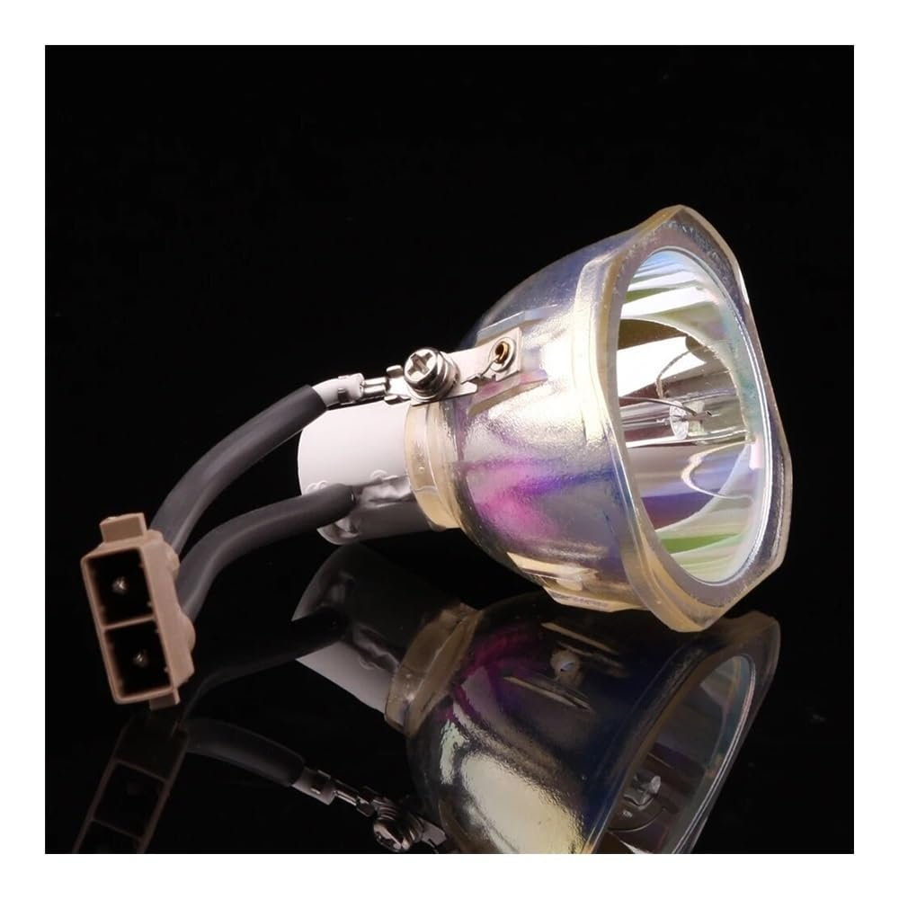 BayDe TLPLW9 Professional Projector Lamp for T-os-hi-ba TDP-T95U TDP-T95 TDP-TW95 TDP-TW95U TLP-T95 TLP-T95U TLP-TW95 TLP-TW95U Projector Replacement Parts (Color : TLPLW9-CB)
