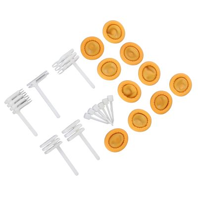 Aqur2020 21 Pcs Hard Drive Head Replacement Comb Set, HDD Data Recovery Tool Kit with ABS Magnetic Head Repair Combs for Secure Fixation 104 123 203 302 403