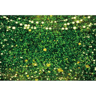 dnldliq 8x6ft Green Leaves Photography Backdrops Spring Nature Photo Backdrop Women Birthday Wedding Newborn Baby Shower Grass Wall Backdrop Spring Party Decor Background Banner Photo Props