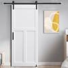 28 X 84 Inch Barn Door Slab, White Barn Doors, Modern Interior Sliding Doors, Real Primed DIY Slab Door, Pre-Drilled Ready to Assemble, Anti-Deformation, Moisture-Proof, T-Style view 2