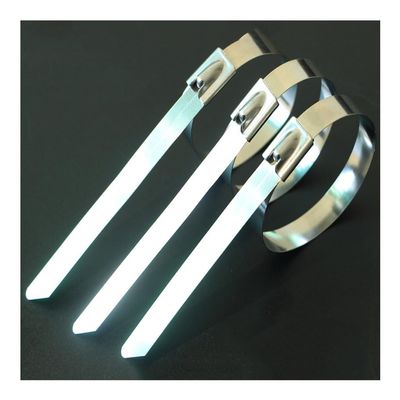 RAMBEX 20Pcs 7.9mm Stainless Steel Metal Cable Ties, Self-Locking Metal Zip Tie100mm-1000mm Long Multifunctional Locking Cable Tie (Color : 7.9mm(0.31inch), Size : 550mm)