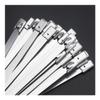 RAMBEX 20Pcs 4.6mm Stainless Steel Metal Cable Ties, Self-Locking Metal Zip Tie100mm-1000mm Long Multifunctional Locking Cable Tie (Color : 4.6mm(0.18inch), Size : 900mm) view 1