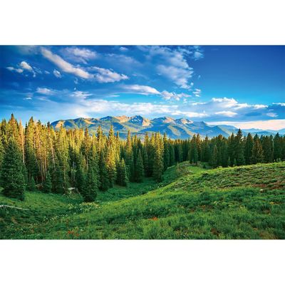 dnldliq 12x8ft Spring Landscape Backdrop Green Grassland Pine Trees Mountain Forest Background for Photography Nature Scenery Outdoor Hiking Camping Adventure Party Backdrop Banner Photo Studio Props