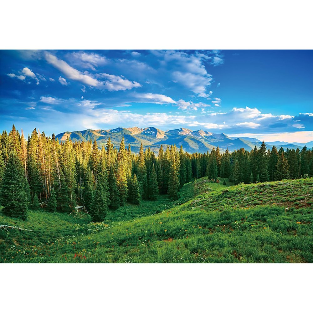 dnldliq 12x8ft Spring Landscape Backdrop Green Grassland Pine Trees Mountain Forest Background for Photography Nature Scenery Outdoor Hiking Camping Adventure Party Backdrop Banner Photo Studio Props