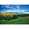 dnldliq 12x8ft Spring Landscape Backdrop Green Grassland Pine Trees Mountain Forest Background for Photography Nature Scenery Outdoor Hiking Camping Adventure Party Backdrop Banner Photo Studio Props view 1