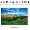 dnldliq 12x8ft Spring Landscape Backdrop Green Grassland Pine Trees Mountain Forest Background for Photography Nature Scenery Outdoor Hiking Camping Adventure Party Backdrop Banner Photo Studio Props view 2