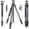 Carbon Fiber Tripod INNOREL P254C 62.5 Compact Lightweight Tripod & Monopod for DSLR Camera Stand Support with Low Gravity Center Ball Head Special-Shaped Center Column Max Load 26.5 lbs/12 kg view 1