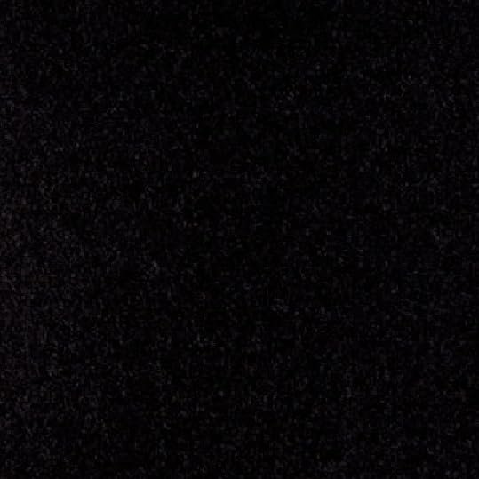 20 Ounce Marine Exterior Carpet for Boats - Decks - RV's 8 Foot Wide (Black, 8 x 15)