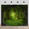 chnywork 8x6ft Enchanted Forest Backdrop Fairy Tale Wonderland Magical Fantasy Forest Tropical Jungle Rainforest Photo Background for Jungle Safari Theme Party Decor Wallpaper Photo Booth Props view 1