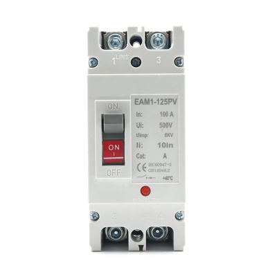 KKFAUS 2P DC 500V DC Solar Molded Case Circuit Breaker MCCB Overload Protection Switch Protector for Solar Photovoltaic PV 100A 125A (Size : 2P, Color : 160A)